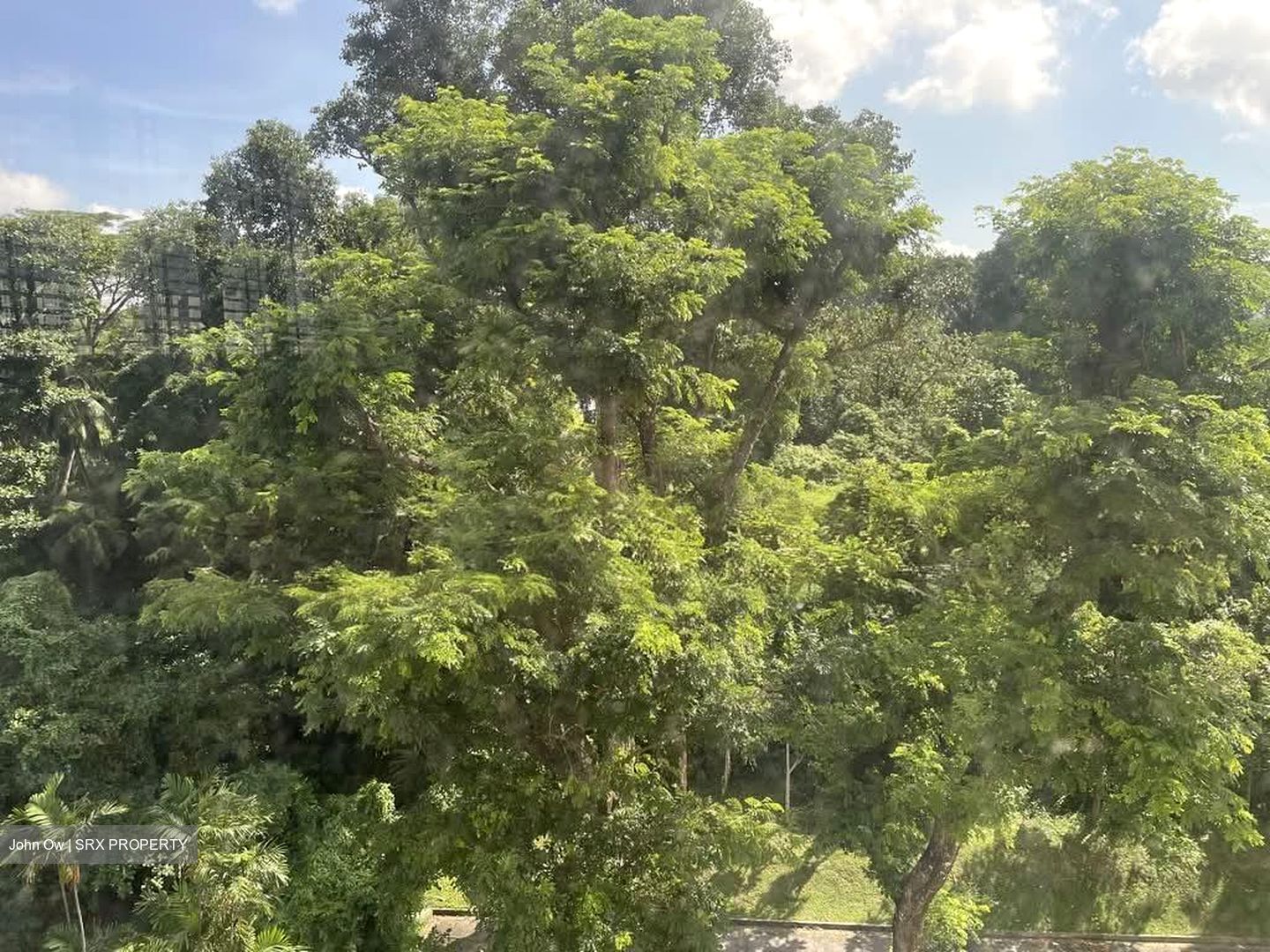 Avon Park (D13), Condominium #562043011